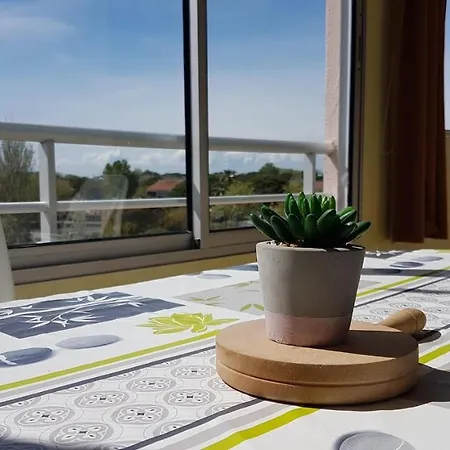 Apartment Cap D'agde Antinea, Rochelongue, Piscine Et Parking Agde